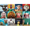 Puzzle Eurographics - Drôles d'Animaux - 1000 Pièces