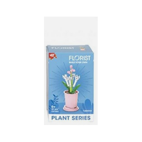 Jeux de construction - plante tuberosa