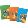 Ultra Pro - Pack de 3 Portfolios de tournoi - Pokémon : Florizarre, Dracaufeu et Tortank Ultra Pro - Pack de 3 Portfolios de tournoi - Pokémon : Florizarre, Dracaufeu et Tortank