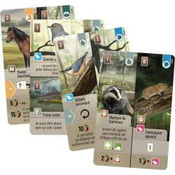 Jeux de société - Forêt Mixte : Dartmoor