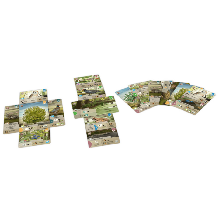 Jeux de société - Forêt Mixte : Dartmoor