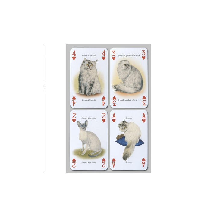 Jeux de société - Cartes à jouer les chats