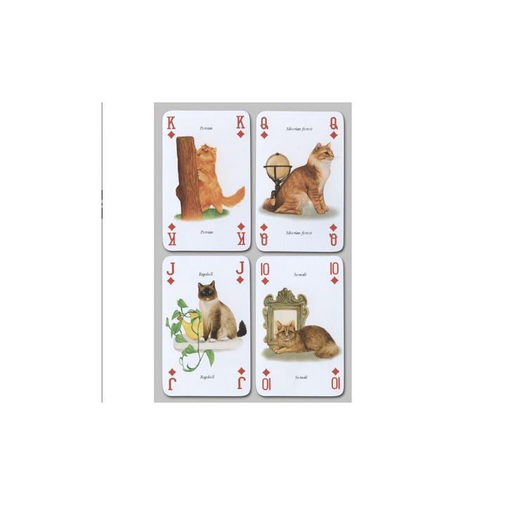 Jeux de société - Cartes à jouer les chats