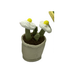 Peluche - Small Plante Pots - Marguerite : 14/15cm