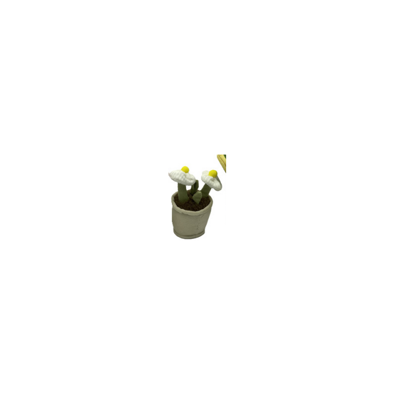 Peluche - Small Plante Pots - Marguerite : 14/15cm