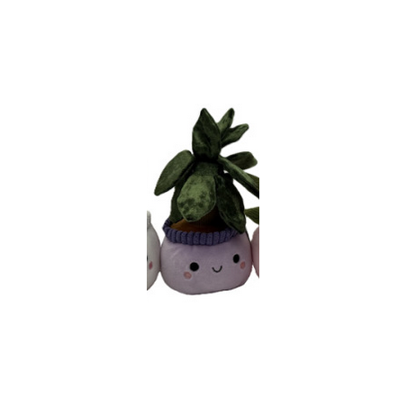 Peluche - Small Plante Pots : 10/14cm