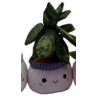 Peluche - Small Plante Pots : 10/14cm