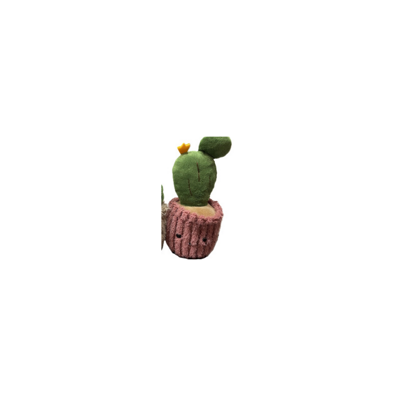 Peluche - Small Plante Pots - Cactus : 10/16cm