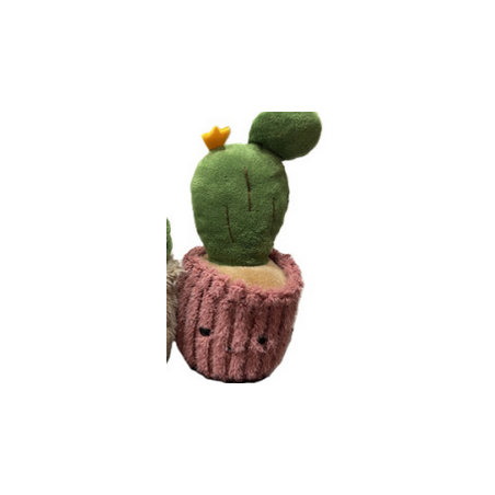 Peluche - Small Plante Pots - Cactus : 10/16cm