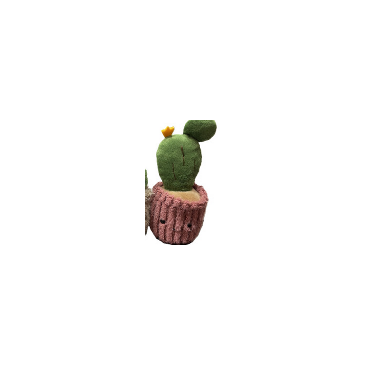 Peluche - Small Plante Pots - Cactus : 10/16cm