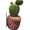 Peluche - Small Plante Pots - Cactus : 10/16cm