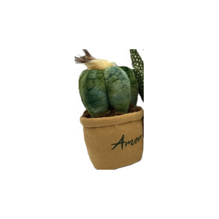 Medium Plante Pots : 15/20cm