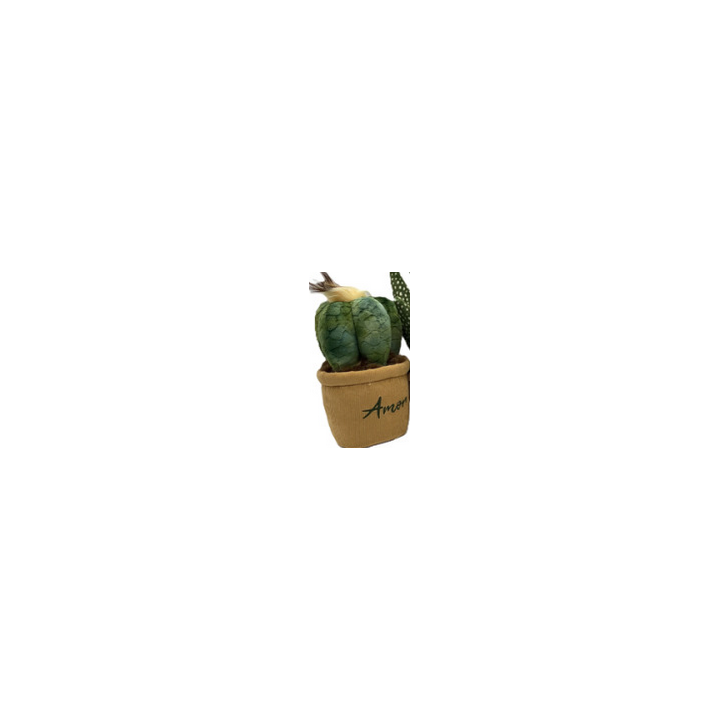 Medium Plante Pots : 15/20cm