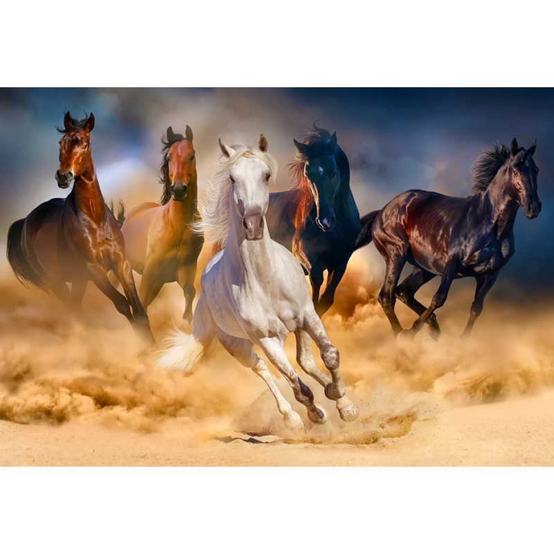 Puzzle Enjoy Puzzle - Horses Running in the Desert - 1000 Pièces