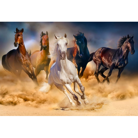 Puzzle Enjoy Puzzle - Horses Running in the Desert - 1000 Pièces