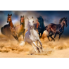 Puzzle Enjoy Puzzle - Horses Running in the Desert - 1000 Pièces