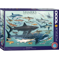 Puzzle Eurographics - Requins - 1000 pièces