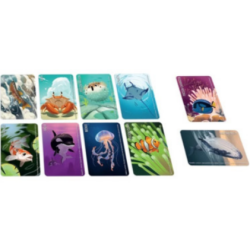 Jeux de société - Similo : Animaux Aquatiques