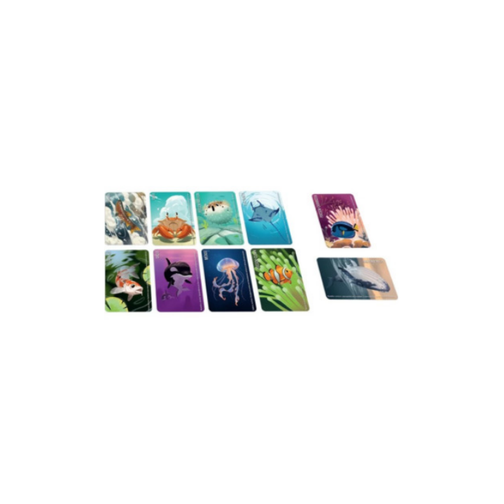 Jeux de société - Similo : Animaux Aquatiques