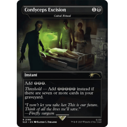 MTG - Magic the Gathering - Secret Lair : The Last of Us Part I