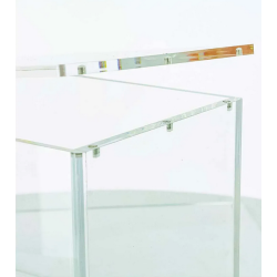 Phoenix Shield- Proyection Acrylique – Pokébox Pokémon