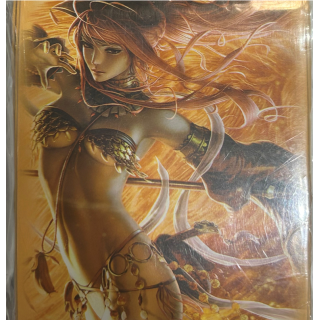 Protège - cartes - 50 Sleeves Standard - HCD Game Supplies