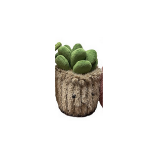 Peluche - Small Plante Pots : 10/16cm