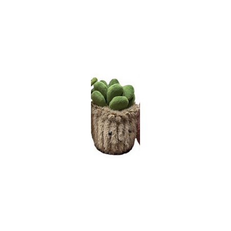 Peluche - Small Plante Pots : 10/16cm