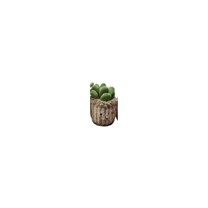 Peluche - Small Plante Pots : 10/16cm