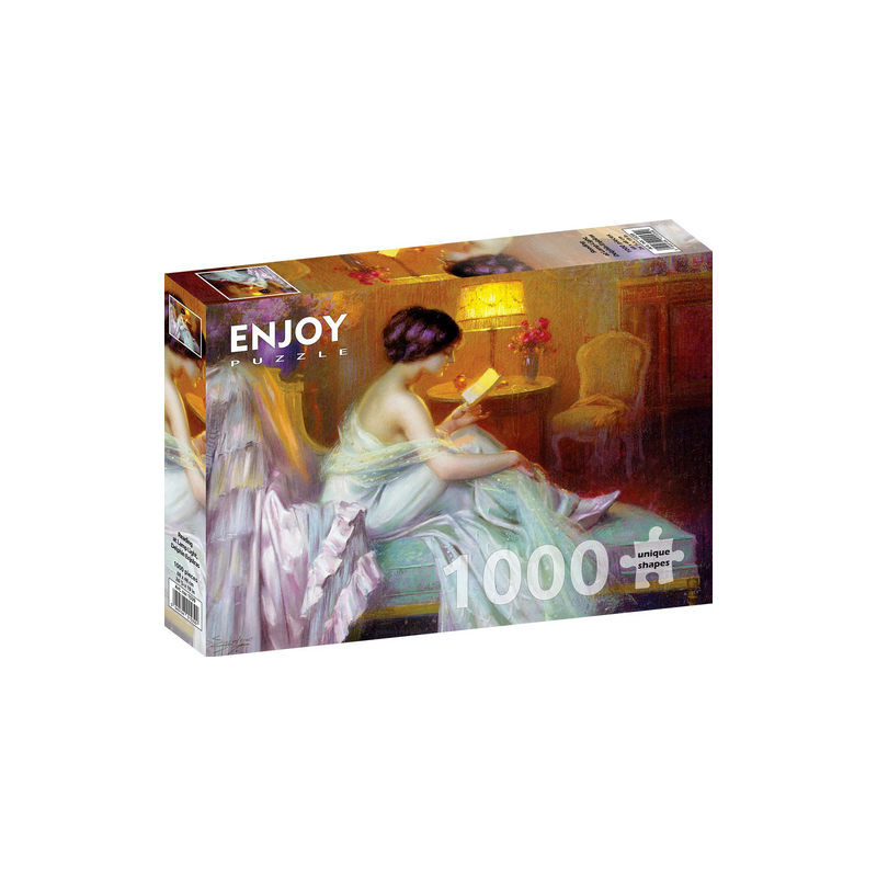 Puzzle Enjoy Puzzle - Delphin Enjolras : Reading at Lamp Light - 1000 Pièces