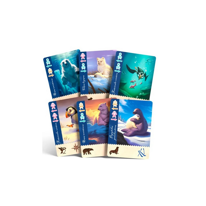 Jeux de société - Borealis expéditions Artiques