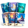 Jeux de société - Borealis expéditions Artiques