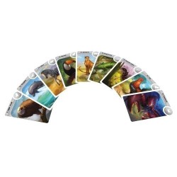 Jeux de société - Cardline Animaux