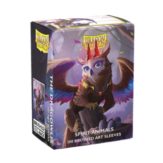 copy of Protège-cartes Dragon Shield - 100 Standard Sleeves Art Sleeves : The Cinderfin