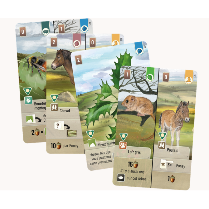 Jeux de société - Extension - Forêt Mixte : Dartmoor - Exmoor