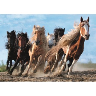 Puzzle Trefl - Chevaux au Galop - 1000 pièces