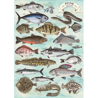 Puzzle Trefl - Finders Keepers : Fish - 500 pièces