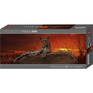 Puzzle Heye - Léopard au Lever du Soleil - Panoramique - 2000 pièces