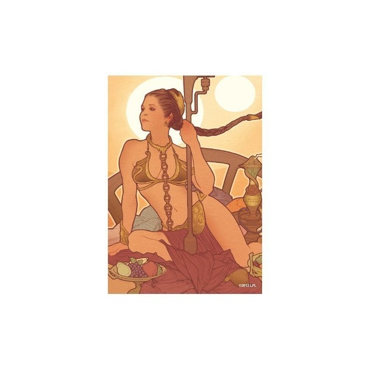 Protège-cartes illustré art sleeves vertical princess Leia standard