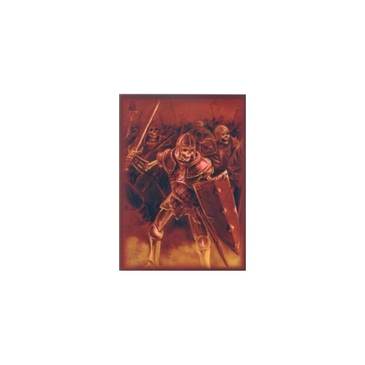 Protège-cartes illustré max protection skeleton warrior standard