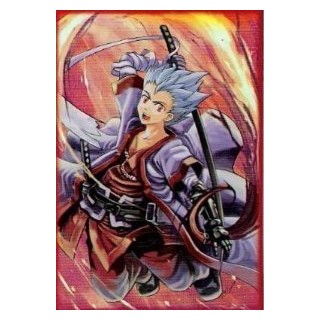 Protège-cartes illustré max protection samurai kid standard