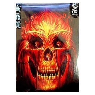 Protège-cartes illustré max protection flaming altar standard