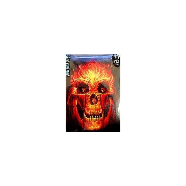 Protège-cartes illustré max protection flaming altar standard