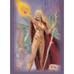 Protège-cartes caldwell - sorceress standard