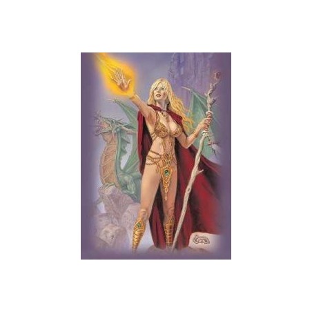 Protège-cartes caldwell - sorceress standard