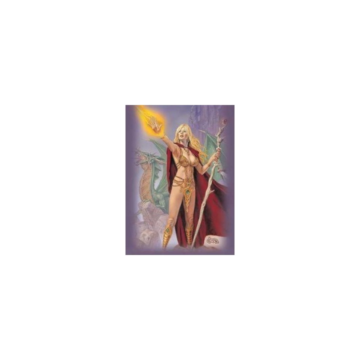 Protège-cartes caldwell - sorceress standard