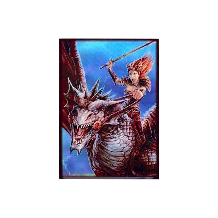 Protège-cartes illustré max protection dragon rider standard